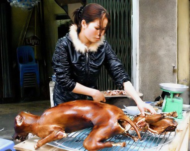 korea-dog-meat.jpg?w=382&h=305